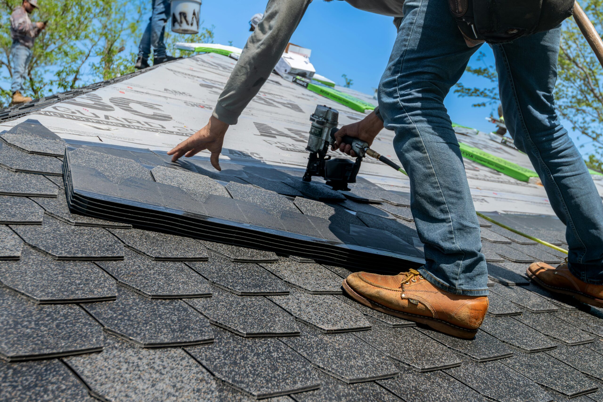 Shingle Roof Projects